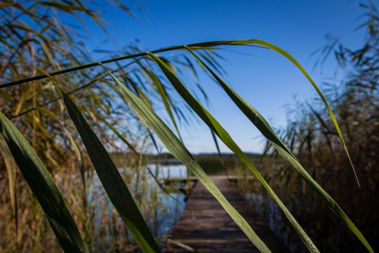 Saski Zakatek, Wakacje W Bajkowym Domku!!! Mazury, Sauna, Jezioro, Pomost, Sasek Maly Экстерьер фото