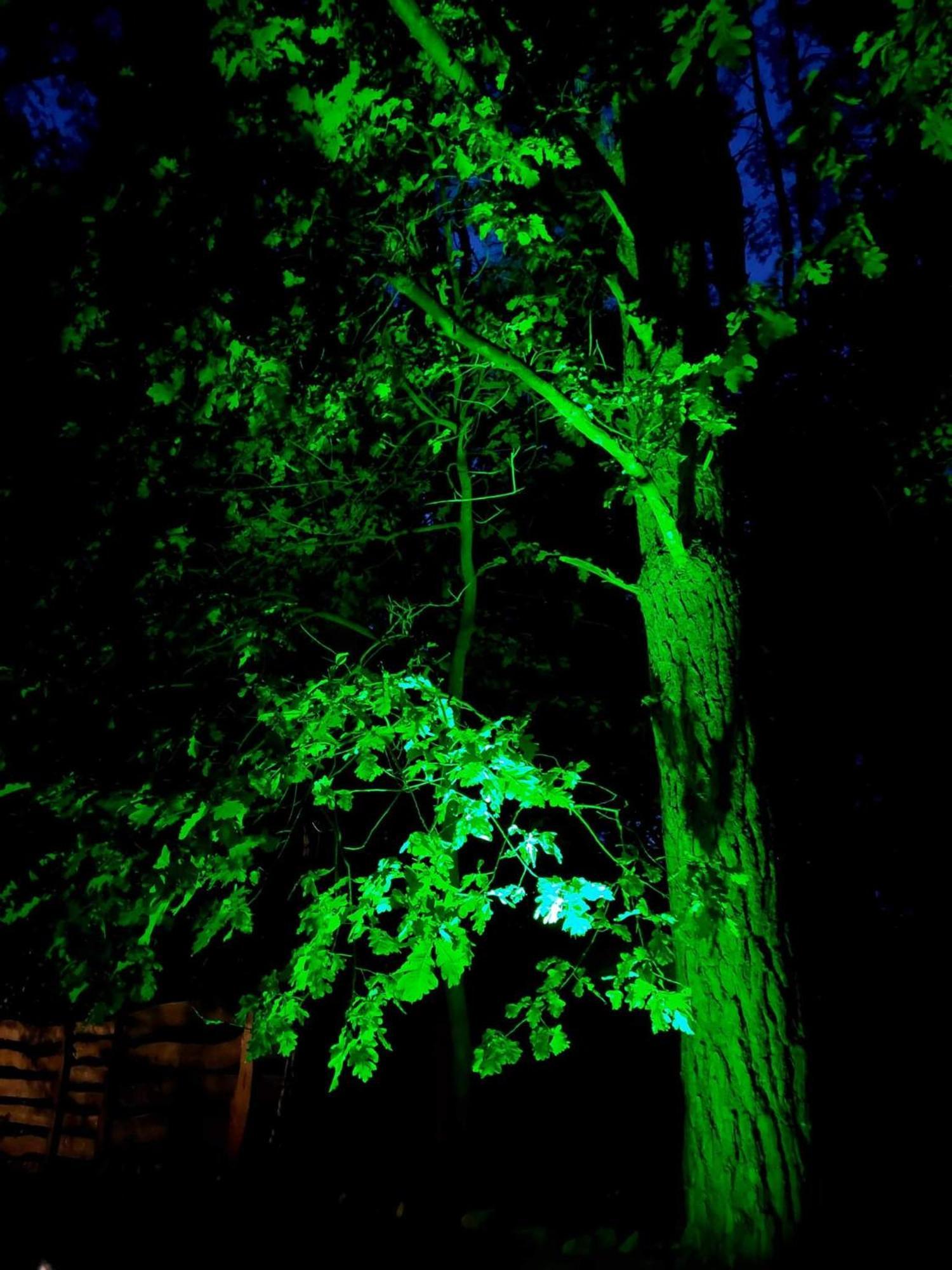 Saski Zakatek, Wakacje W Bajkowym Domku!!! Mazury, Sauna, Jezioro, Pomost, Sasek Maly Экстерьер фото